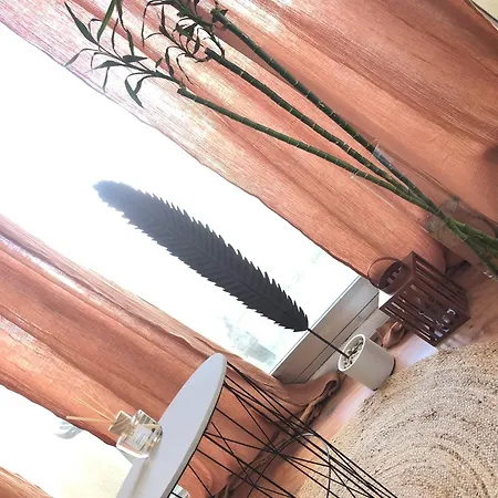 Studio Lacanau Plage Centrale Apartament