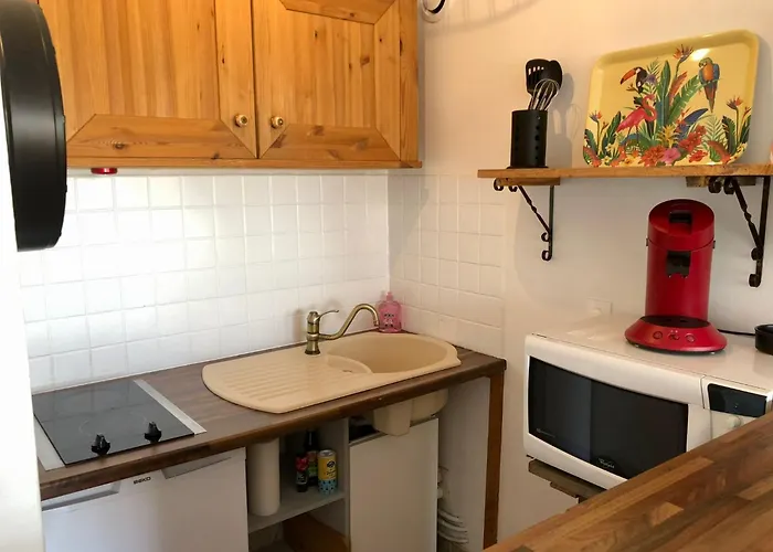 Studio Lacanau Plage Centrale