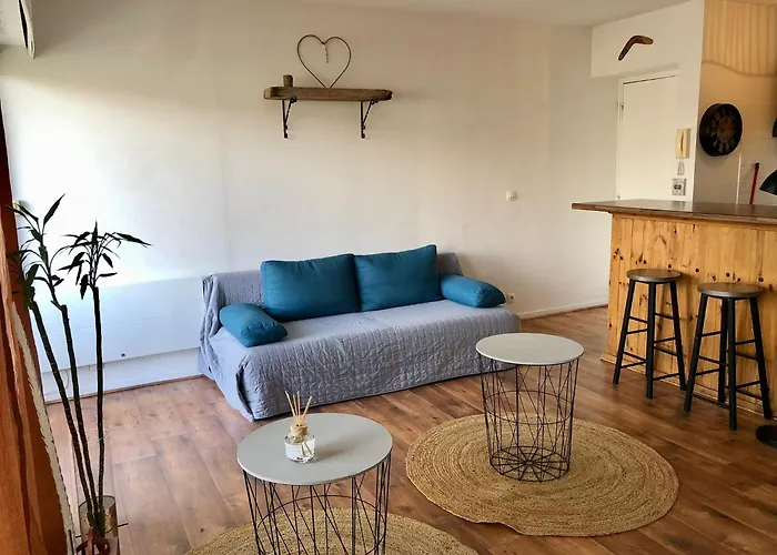 Studio Lacanau Plage Centrale Lacanau