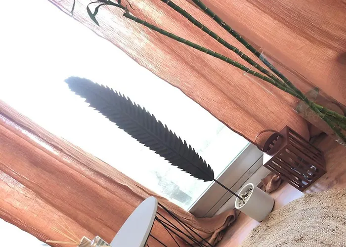 Studio Lacanau Plage Centrale Apartment